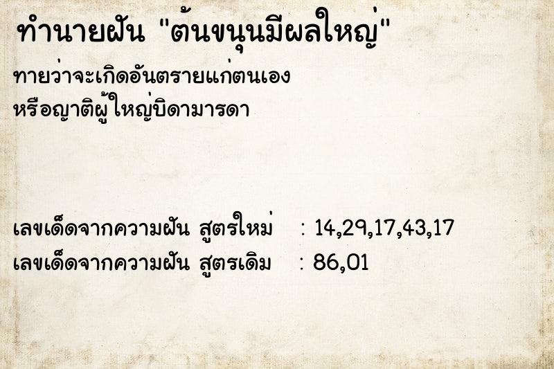 ทำนายฝันต้นขนุนมีผลใหญ่ ทำนายฝันทำนายฝันต้นขนุนมีผลใหญ่
