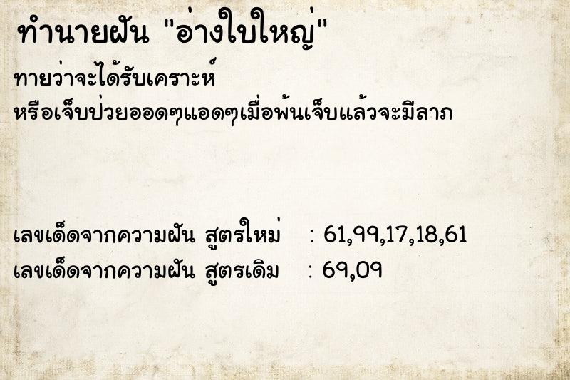 ทำนายฝันอ่างใบใหญ่ ทำนายฝันทำนายฝันอ่างใบใหญ่
