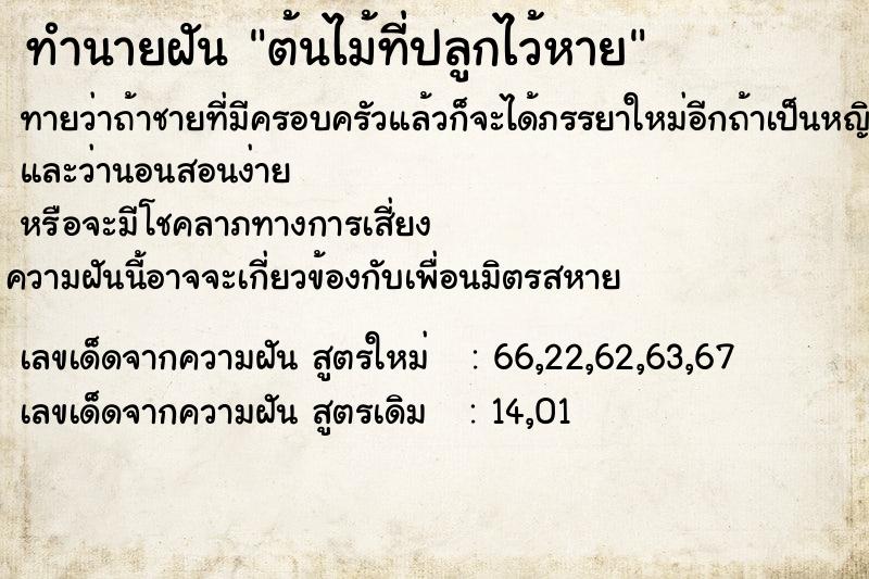 ทำนายฝันต้นไม้ที่ปลูกไว้หาย ทำนายฝันทำนายฝันต้นไม้ที่ปลูกไว้หาย