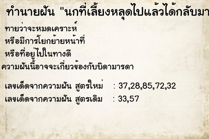 ทำนายฝันนกที่เลี้ยงหลุดไปแล้วได้กลับมาอีก ทำนายฝันทำนายฝันนกที่เลี้ยงหลุดไปแล้วได้กลับมาอีก