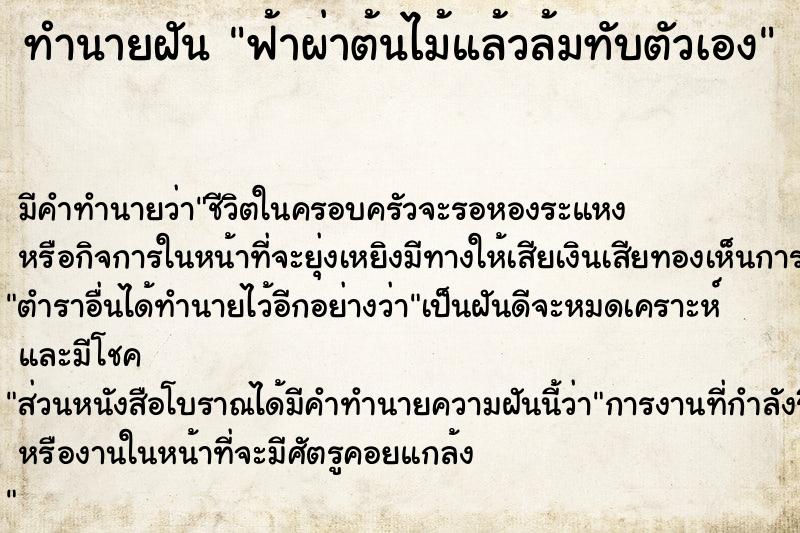 ทำนายฝัน ฟ้าผ่าต้นไม้แล้วล้มทับตัวเอง ทำนายฝัน ฟ้าผ่าต้นไม้แล้วล้มทับตัวเอง