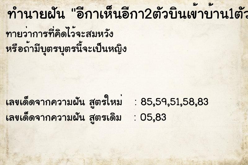 ทำนายฝันอีกาเห็นอีกา2ตัวบินเข้าบ้าน1ตัวแล้วบินออกไป ทำนายฝันทำนายฝันอีกาเห็นอีกา2ตัวบินเข้าบ้าน1ตัวแล้วบินออกไป