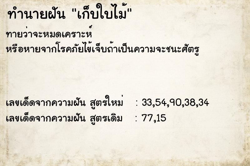 ทำนายฝัน เก็บใบไม้ ตำราโบราณ แม่นที่สุดในโลก