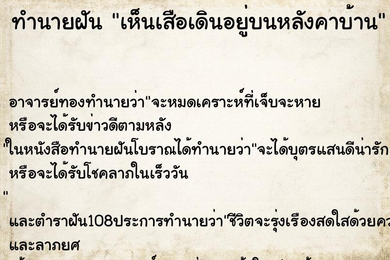 ทำนายฝันทำนายฝันเห็นเสือเดินอยู่บนหลังคาบ้าน
