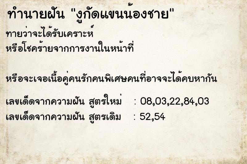 ทำนายฝันงูกัดแขนน้องชาย ทำนายฝันทำนายฝันงูกัดแขนน้องชาย