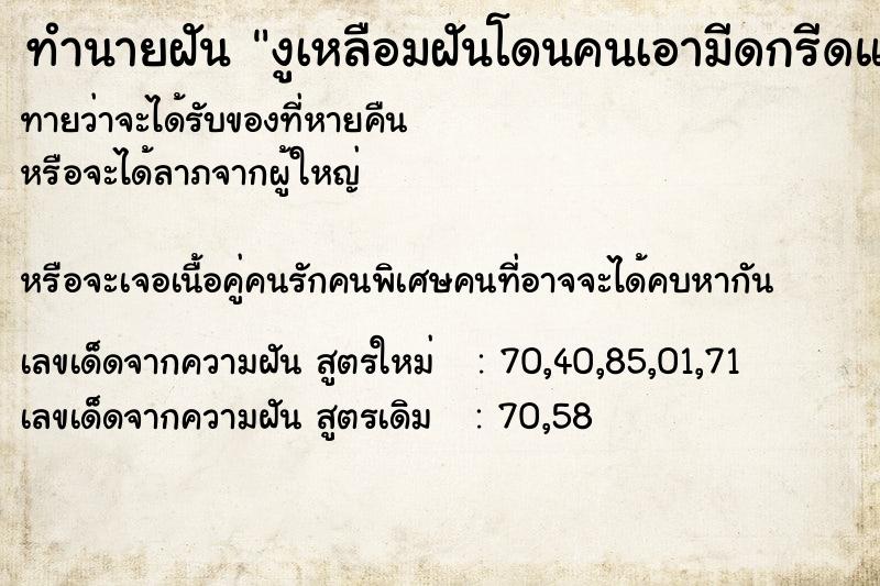 ทำนายฝันงูเหลือมฝันโดนคนเอามีดกรีดแขนซ้าย ทำนายฝันทำนายฝันงูเหลือมฝันโดนคนเอามีดกรีดแขนซ้าย