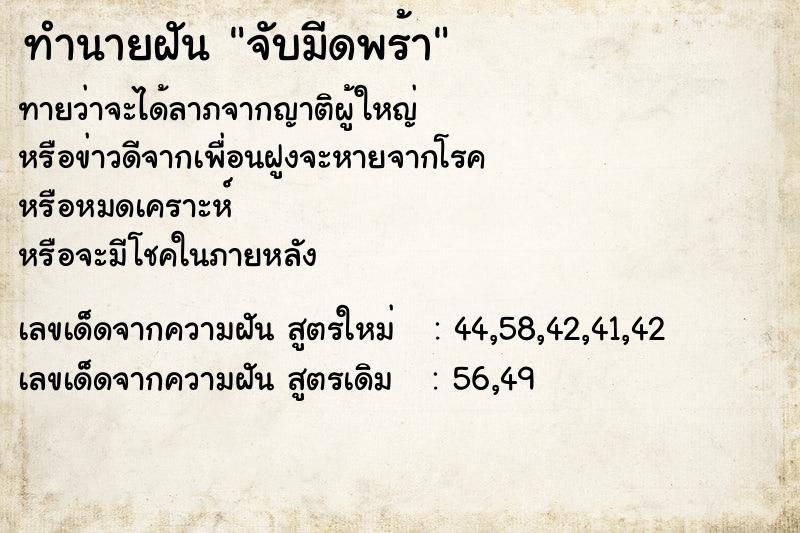 ทำนายฝันจับมีดพร้า ทำนายฝันทำนายฝันจับมีดพร้า