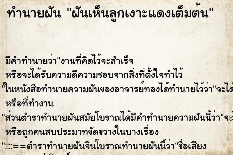 ทำนายฝันทำนายฝันฝันเห็นลูกเงาะแดงเต็มต้น