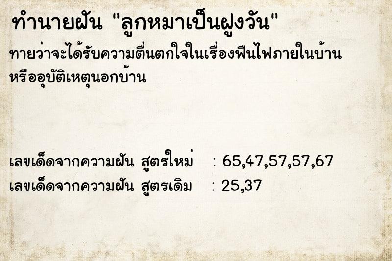 ทำนายฝันลูกหมาเป็นฝูงวัน ทำนายฝันทำนายฝันลูกหมาเป็นฝูงวัน