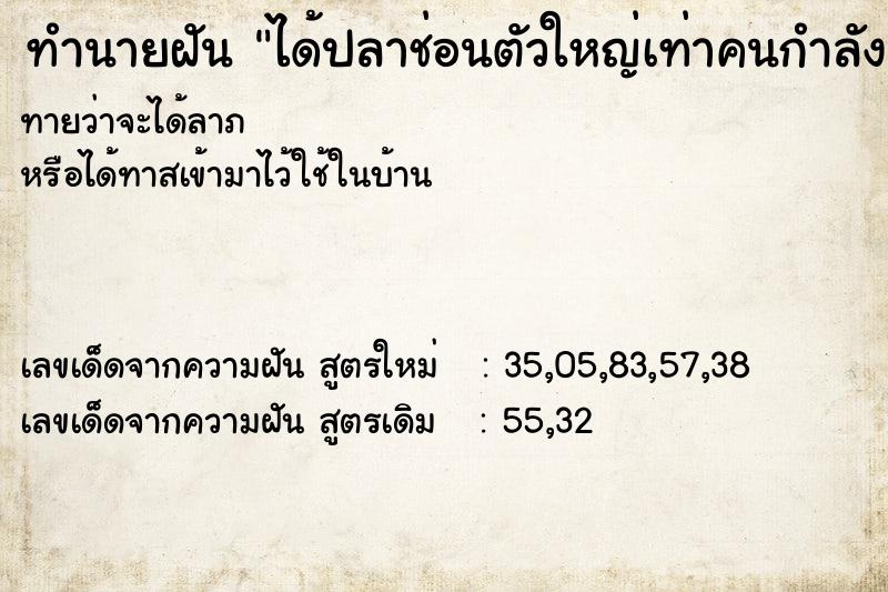 ทำนายฝันได้ปลาช่อนตัวใหญ่เท่าคนกำลังท้อง ทำนายฝันทำนายฝันได้ปลาช่อนตัวใหญ่เท่าคนกำลังท้อง