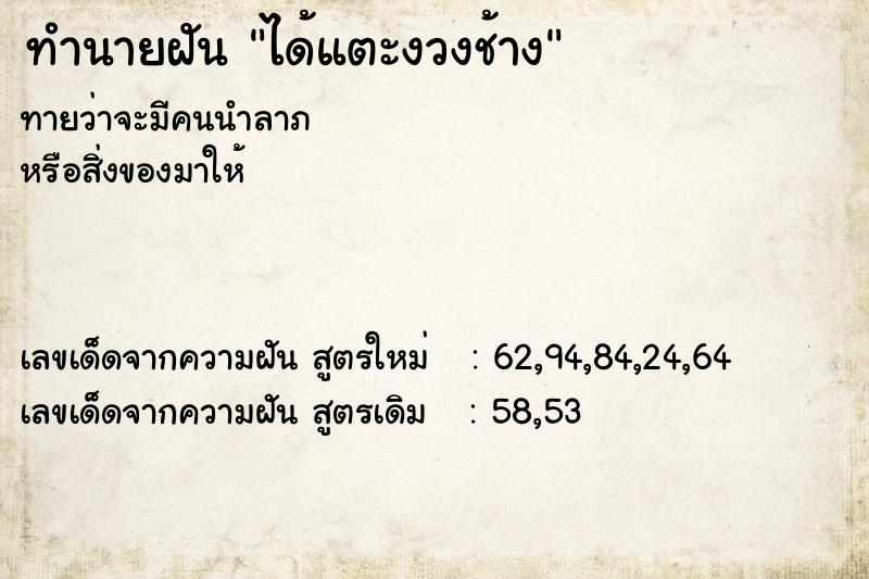 ทำนายฝันทำนายฝันได้แตะงวงช้าง