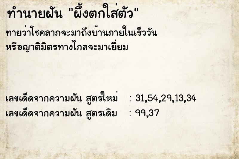 ทำนายฝันผึ้งตกใส่ตัว ทำนายฝันทำนายฝันผึ้งตกใส่ตัว