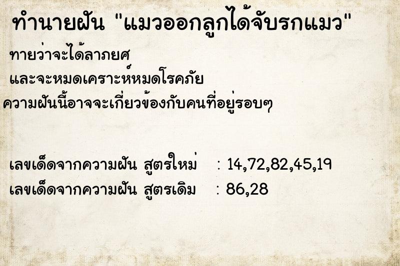 ทำนายฝัน แมวออกลูกได้จับรกแมว