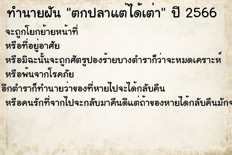ทำนายฝัน ตกปลาแต่ได้เต่า ทำนายฝัน ตกปลาแต่ได้เต่า