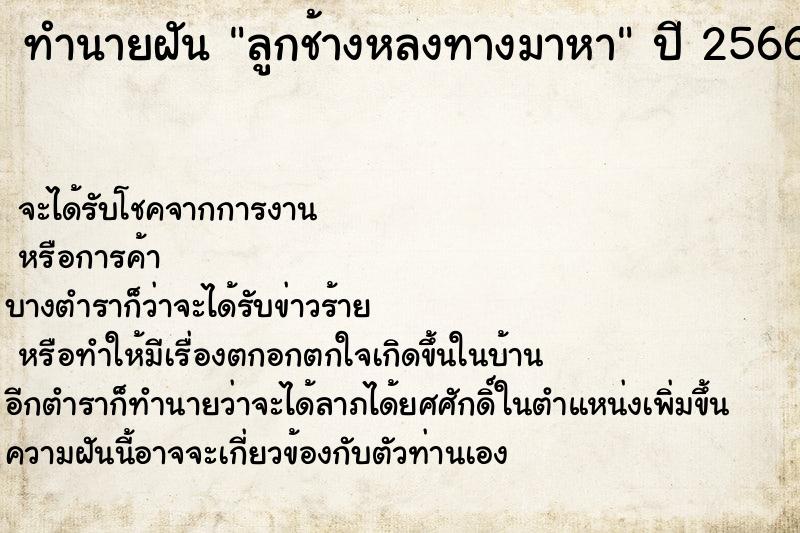 ทำนายฝันทำนายฝันลูกช้างหลงทางมาหา