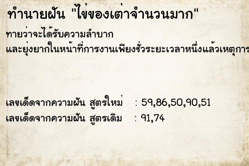 ทำนายฝันทำนายฝันไข่ของเต่าจำนวนมาก