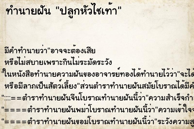 ทำนายฝันทำนายฝันปลูกหัวไชเท้า