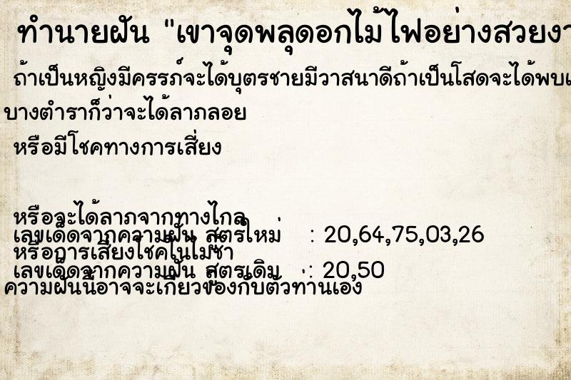 ทำนายฝัน เขาจุดพลุดอกไม้ไฟอย่างสวยงาม