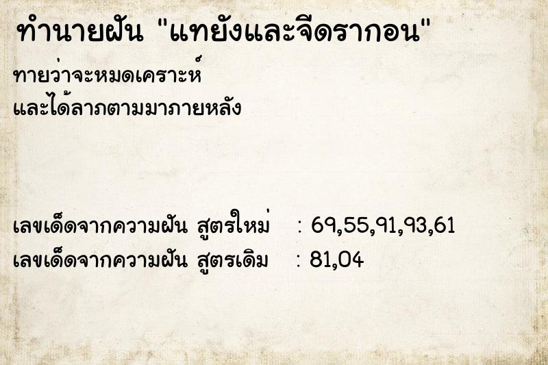 ทำนายฝันแทยังและจีดรากอน ทำนายฝันทำนายฝันแทยังและจีดรากอน