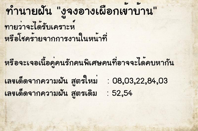 ทำนายฝันงูจงอางเผือกเข้าบ้าน ทำนายฝันทำนายฝันงูจงอางเผือกเข้าบ้าน