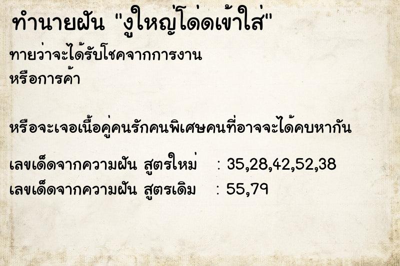 ทำนายฝัน งูใหญ่โด่ดเข้าใส่ ทำนายฝัน งูใหญ่โด่ดเข้าใส่