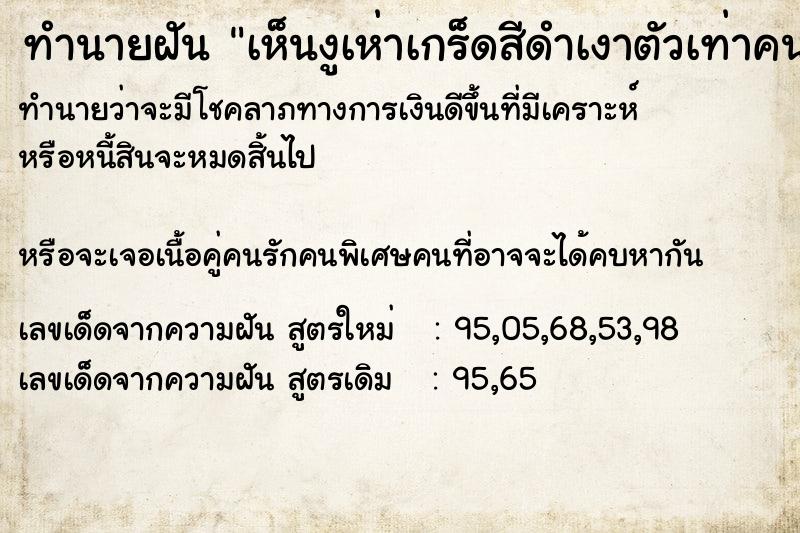 ทำนายฝันทำนายฝันเห็นงูเห่าเกร็ดสีดำเงาตัวเท่าคน