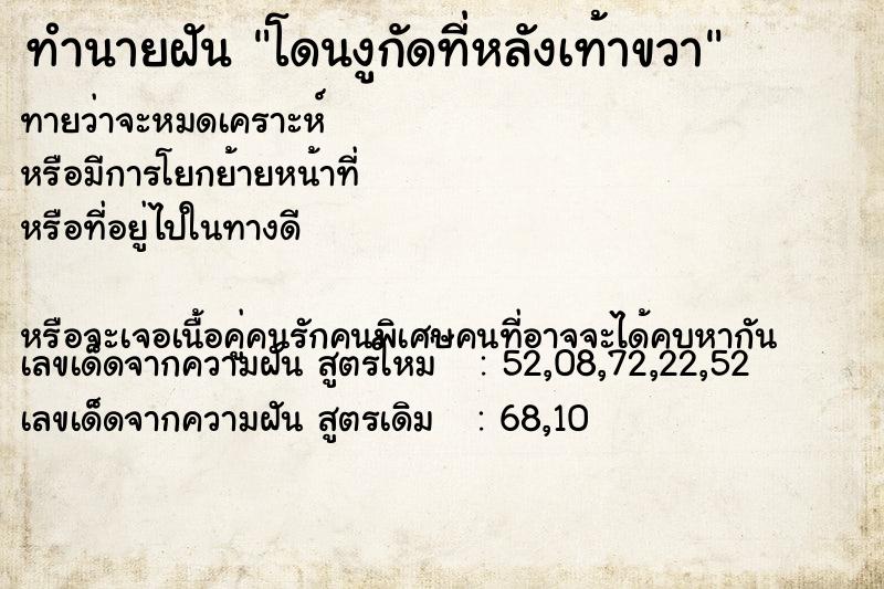 ทำนายฝันทำนายฝันโดนงูกัดที่หลังเท้าขวา