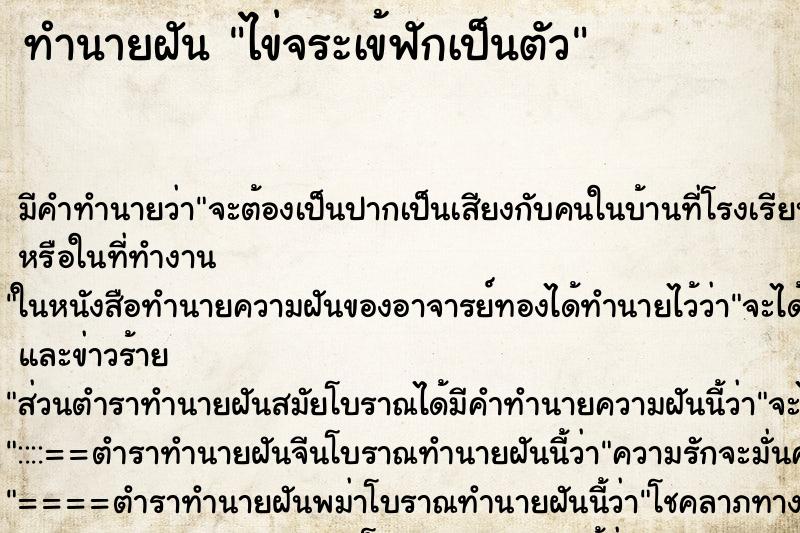 ทำนายฝัน ไข่จระเข้ฟักเป็นตัว ทำนายฝัน ไข่จระเข้ฟักเป็นตัว