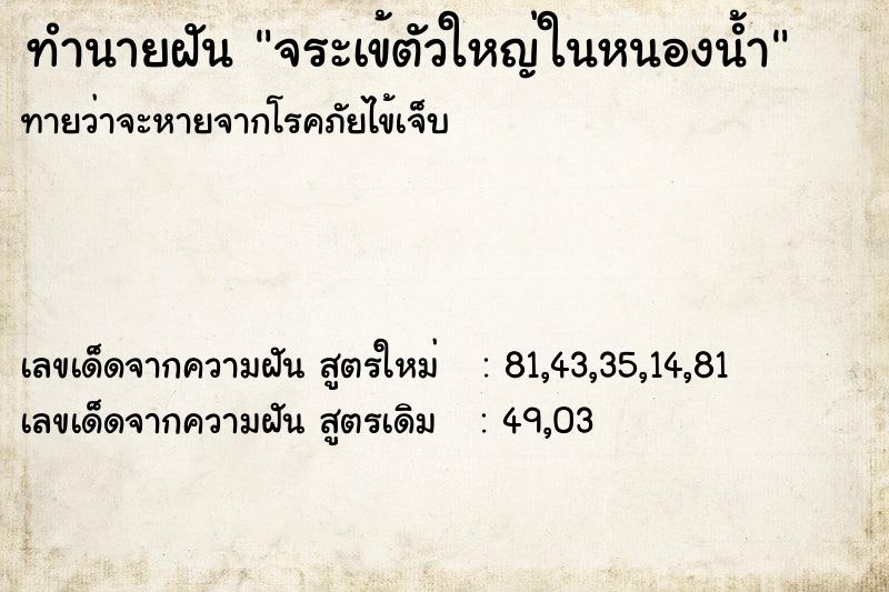 ทำนายฝันจระเข้ตัวใหญ่ในหนองน้ำ ทำนายฝันทำนายฝันจระเข้ตัวใหญ่ในหนองน้ำ