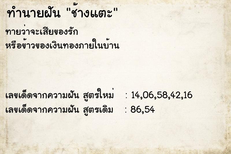 ทำนายฝันช้างแตะ ทำนายฝันทำนายฝันช้างแตะ