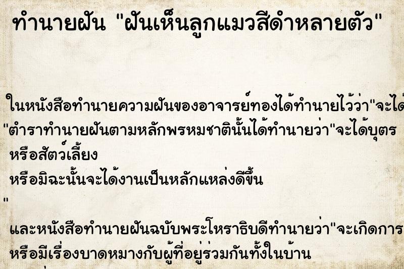 ทำนายฝันฝันเห็นลูกแมวสีดำหลายตัว ทำนายฝันทำนายฝันฝันเห็นลูกแมวสีดำหลายตัว