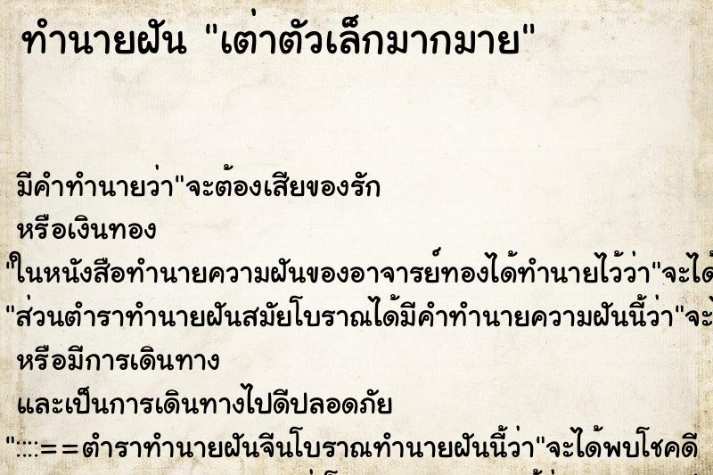 ทำนายฝัน เต่าตัวเล็กมากมาย ทำนายฝัน เต่าตัวเล็กมากมาย