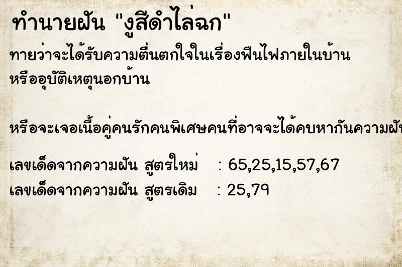 ทำนายฝัน งูสีดำไล่ฉก ทำนายฝัน งูสีดำไล่ฉก