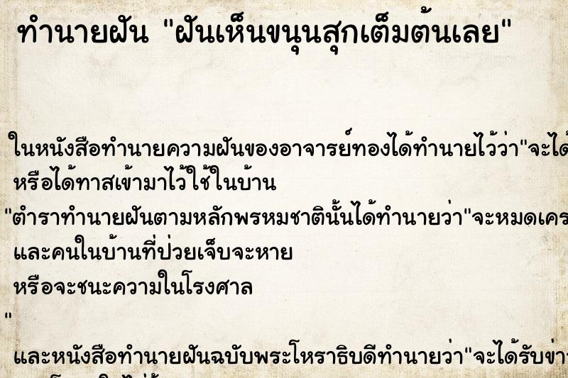 ทำนายฝันฝันเห็นขนุนสุกเต็มต้นเลย ทำนายฝันทำนายฝันฝันเห็นขนุนสุกเต็มต้นเลย