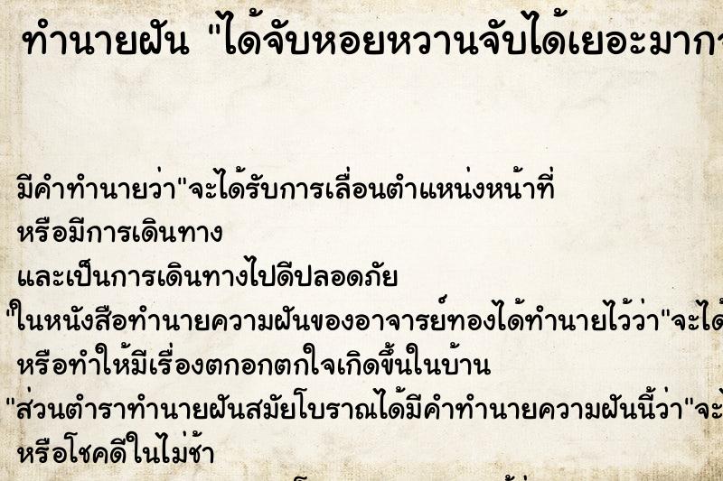 ทำนายฝันได้จับหอยหวานจับได้เยอะมากจนล้นมือ ทำนายฝันทำนายฝันได้จับหอยหวานจับได้เยอะมากจนล้นมือ