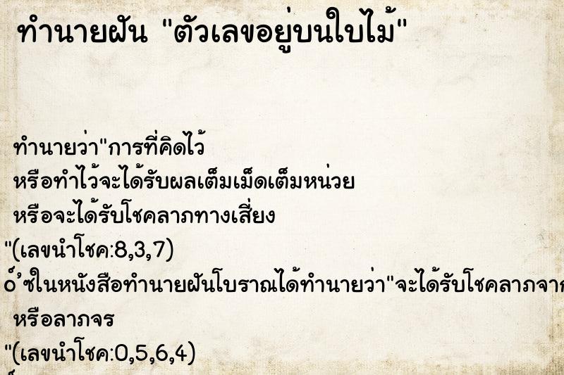 ทำนายฝัน ตัวเลขอยู่บนใบไม้