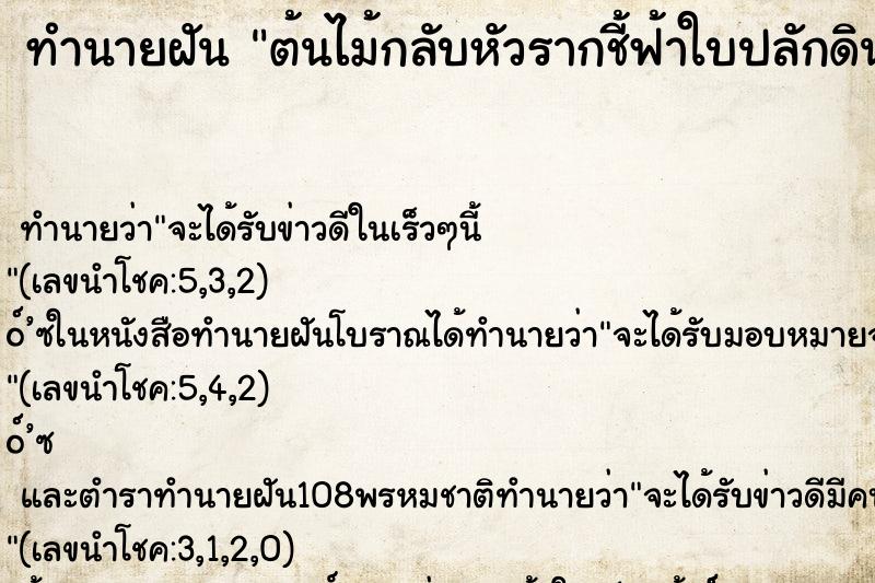 ทำนายฝัน ต้นไม้กลับหัวรากชี้ฟ้าใบปลักดิน ทำนายฝัน ต้นไม้กลับหัวรากชี้ฟ้าใบปลักดิน