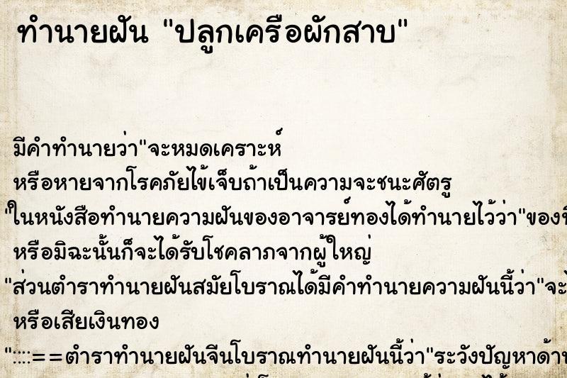 ทำนายฝัน ปลูกเครือผักสาบ ทำนายฝัน ปลูกเครือผักสาบ
