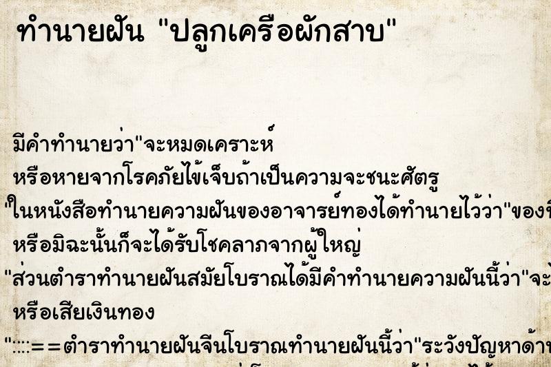 ทำนายฝัน ปลูกเครือผักสาบ ตำราโบราณ แม่นที่สุดในโลก