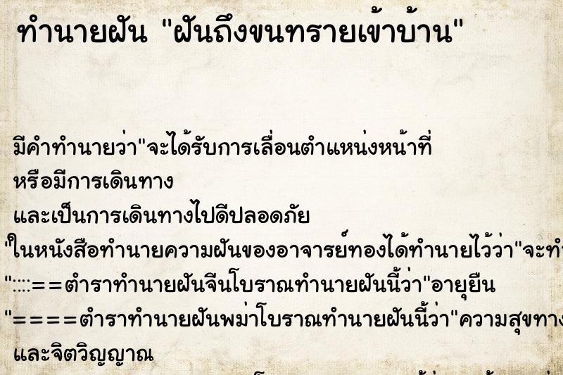 ทำนายฝันฝันถึงขนทรายเข้าบ้าน ทำนายฝันทำนายฝันฝันถึงขนทรายเข้าบ้าน