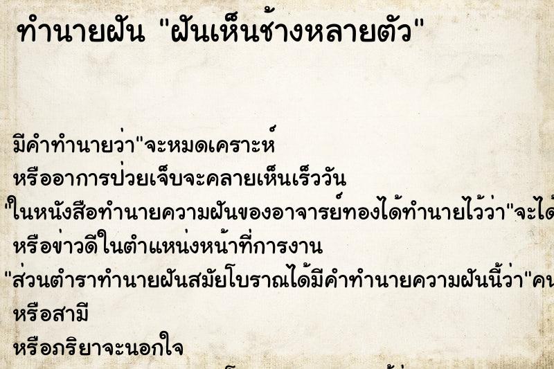 ทำนายฝันทำนายฝันฝันเห็นช้างหลายตัว