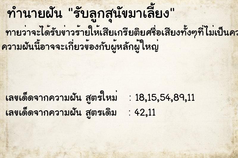 ทำนายฝันรับลูกสุนัขมาเลี้ยง ทำนายฝันทำนายฝันรับลูกสุนัขมาเลี้ยง