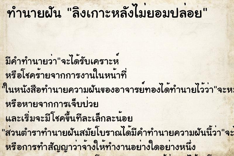 ทำนายฝัน ลิงเกาะหลังไม่ยอมปล่อย ทำนายฝัน ลิงเกาะหลังไม่ยอมปล่อย