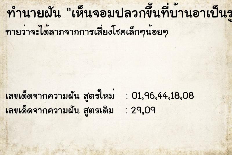 ทำนายฝันเห็นจอมปลวกขึ้นที่บ้านอาเป็นรูปช้าง ทำนายฝันทำนายฝันเห็นจอมปลวกขึ้นที่บ้านอาเป็นรูปช้าง