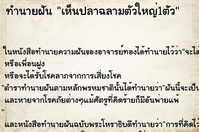 ทำนายฝัน เห็นปลาฉลามตัวใหญ่1ตัว ทำนายฝัน เห็นปลาฉลามตัวใหญ่1ตัว