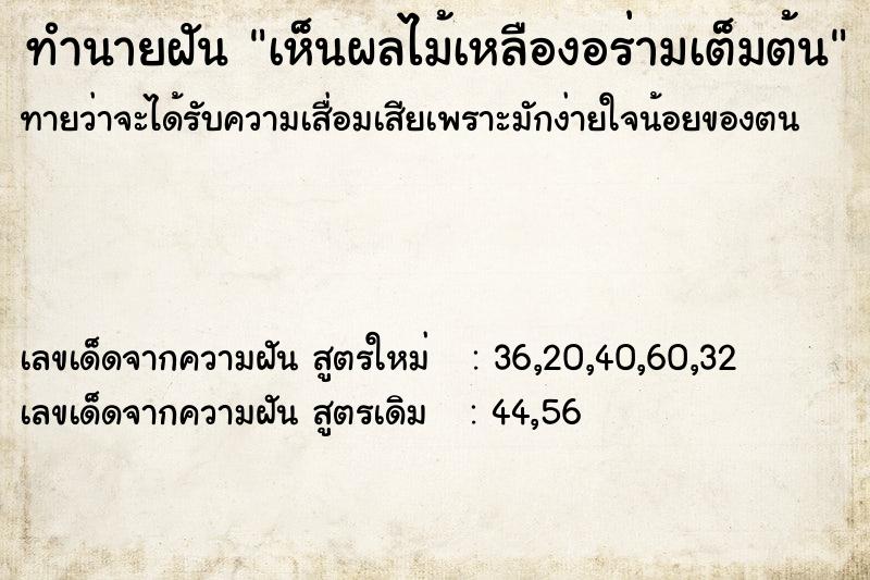 ทำนายฝัน เห็นผลไม้เหลืองอร่ามเต็มต้น ทำนายฝัน เห็นผลไม้เหลืองอร่ามเต็มต้น