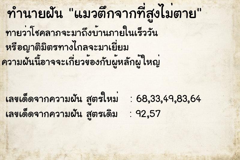 ทำนายฝันทำนายฝันแมวตึกจากที่สูงไม่ตาย