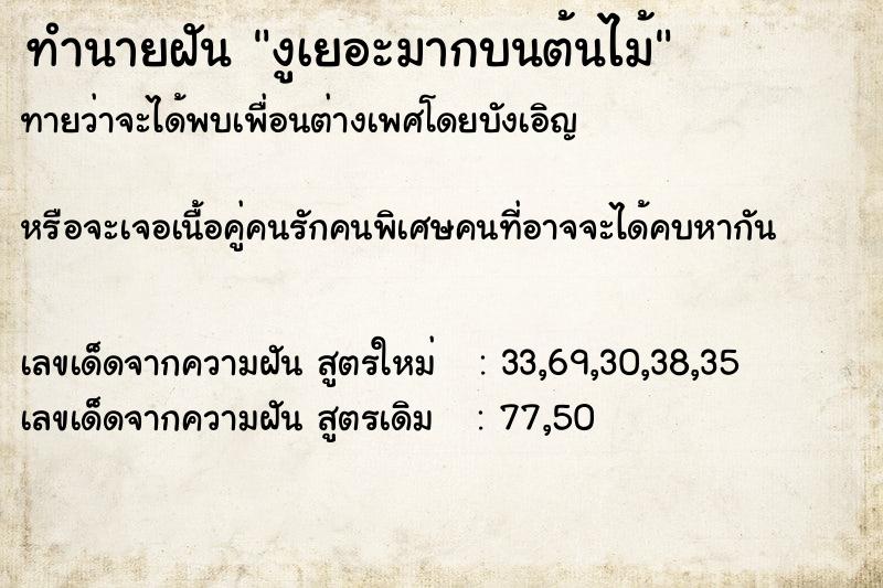 ทำนายฝันงูเยอะมากบนต้นไม้ ทำนายฝันทำนายฝันงูเยอะมากบนต้นไม้