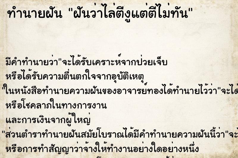 ทำนายฝัน ฝันว่าไล่ตีงูแต่ตีไม่ทัน ทำนายฝัน ฝันว่าไล่ตีงูแต่ตีไม่ทัน