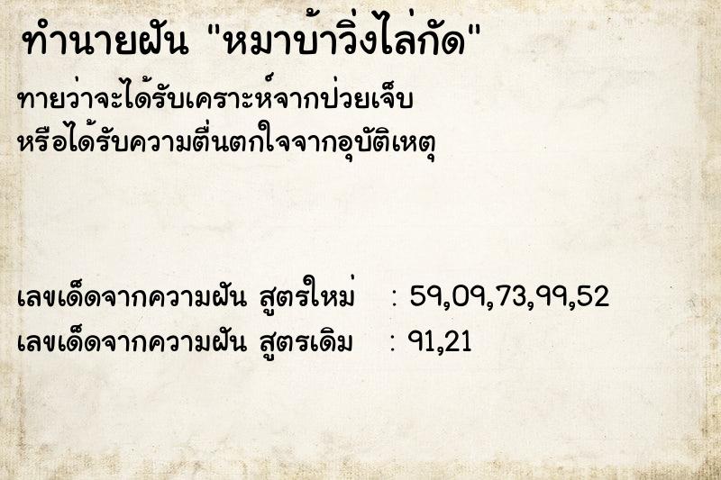 ทำนายฝันทำนายฝันหมาบ้าวิ่งไล่กัด